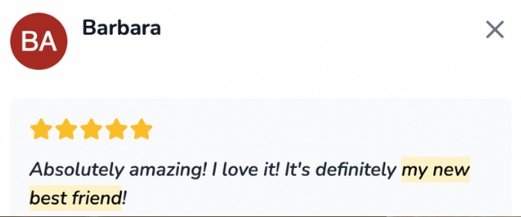 Barbara's Money Mind AI review: Absolutely amazing! I love it! It's definitely my new best friend!